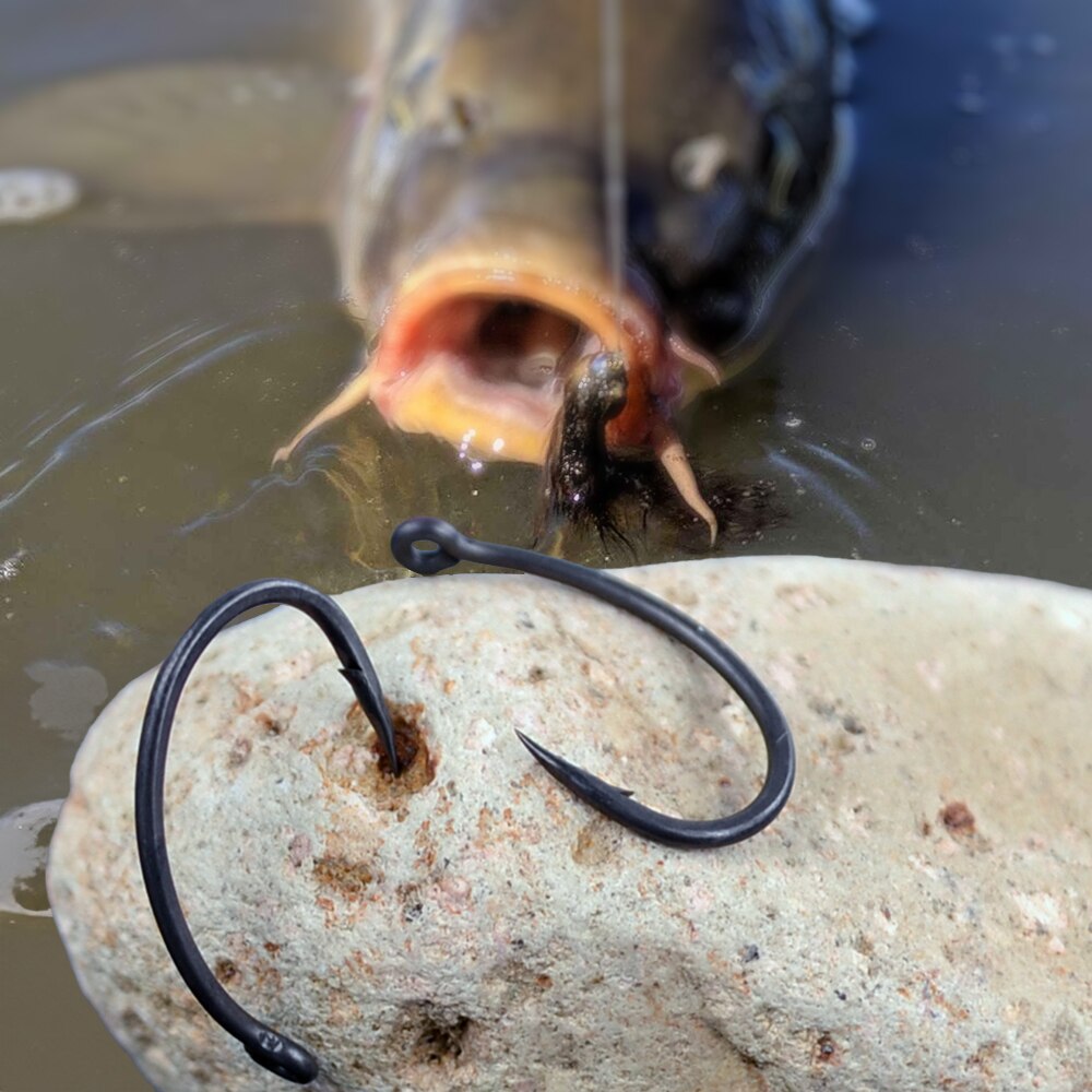 Hirisi Karpfen-Angelhaken, 50  – Fishing Hook Offset Bewertung und Preis